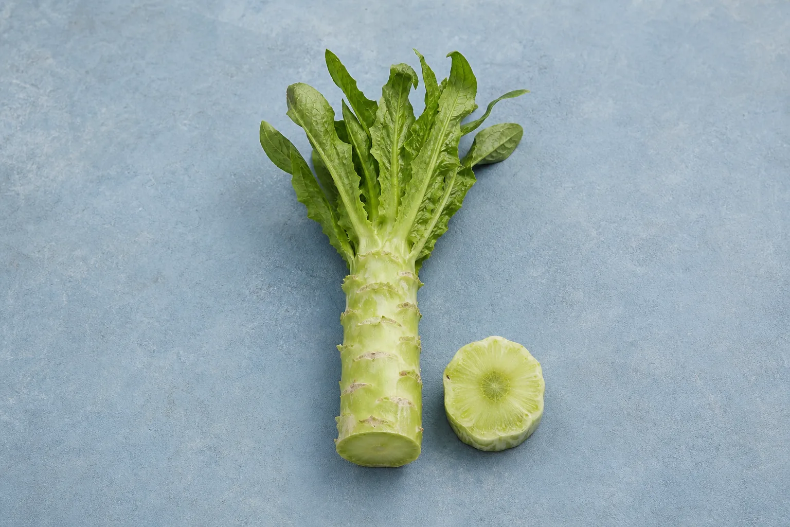 A raw green celtuce stem with leafy top and one crisp cut round.