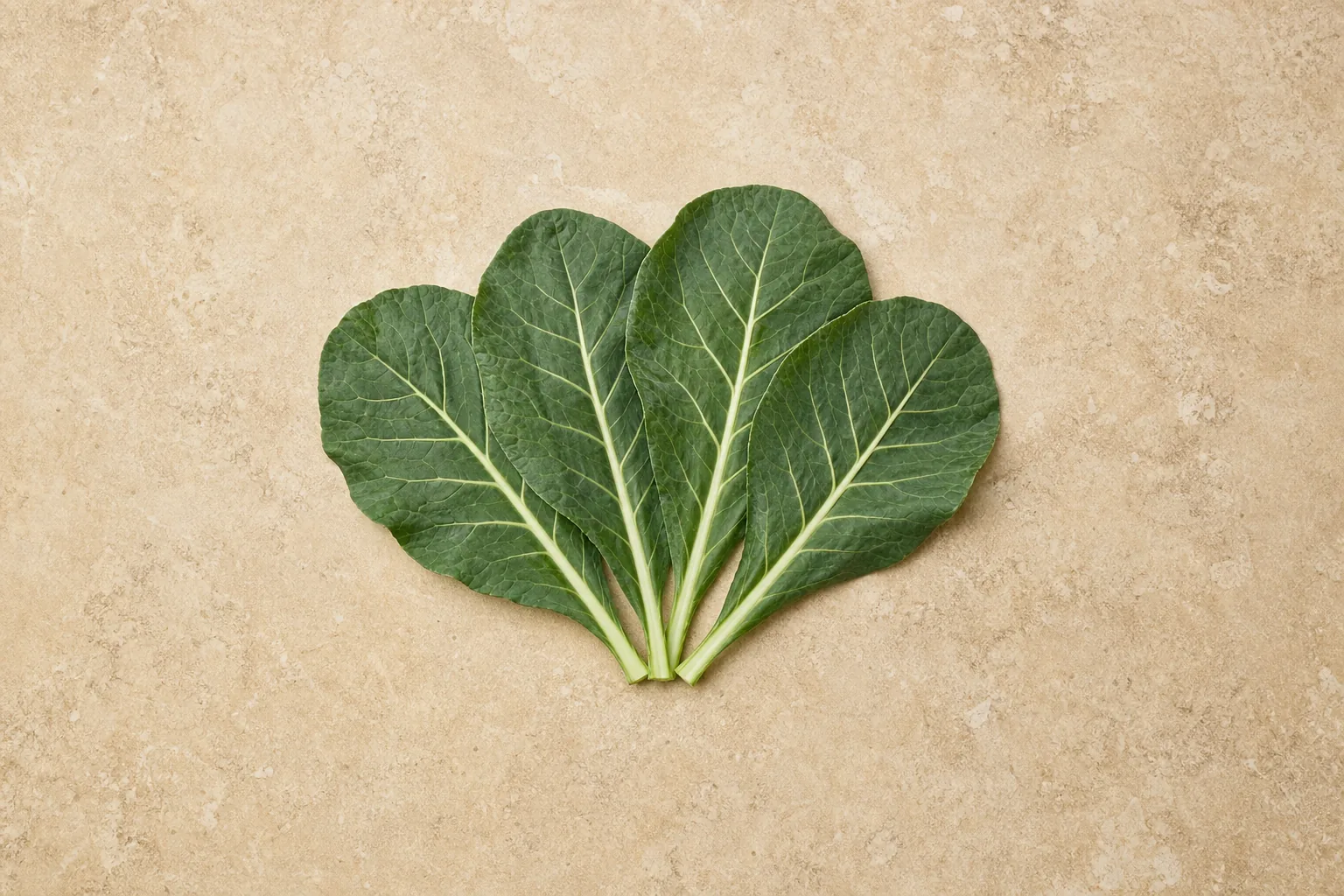 Four broad raw collard-green leaves with thick pale ribs arranged on beige stone.