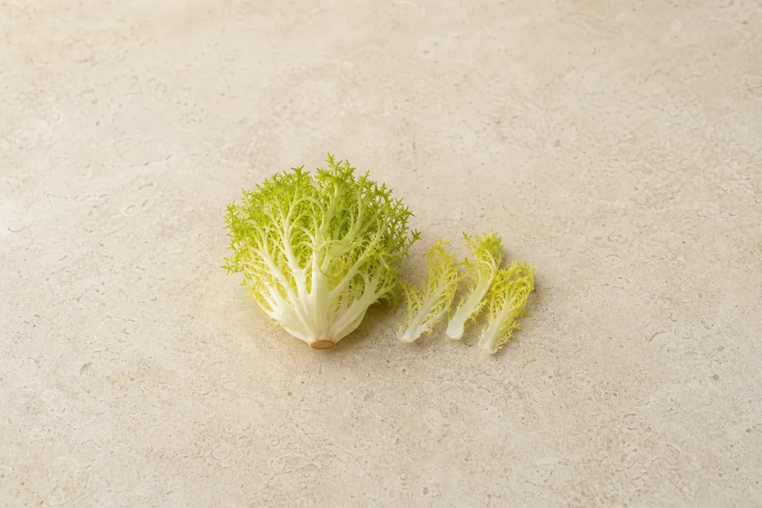 A raw curly endive head with frilly green outer leaves, a pale yellow heart and several loose leaves.