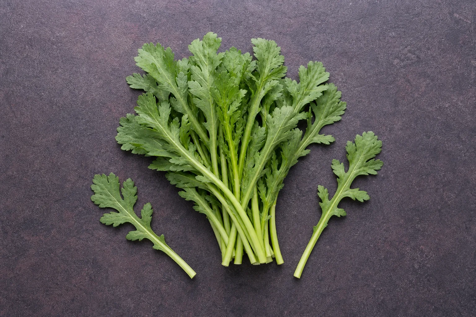 Raw garland chrysanthemum greens with deeply lobed leaves and tender stems.