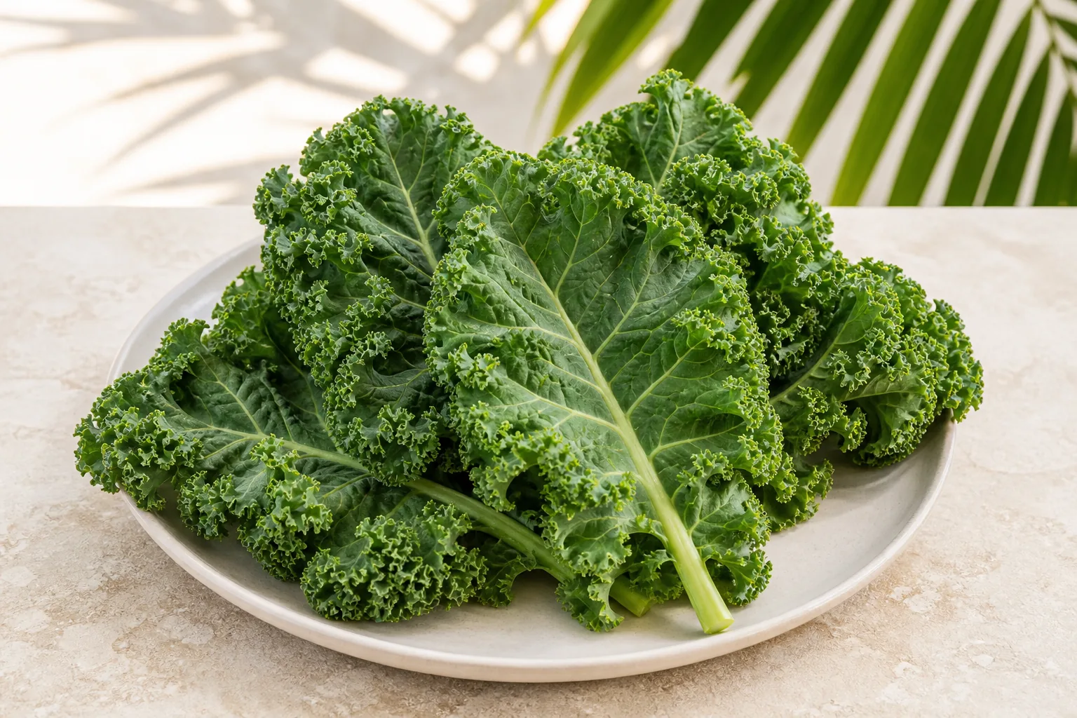 Fresh raw green kale leaves with ruffled edges and firm stems.