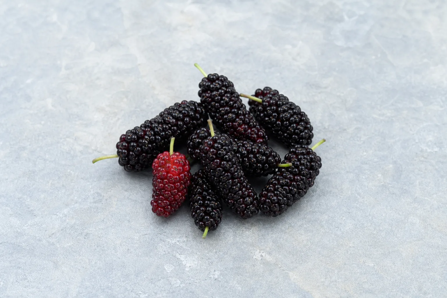 Ripe elongated purple-black mulberries with fine clustered drupelets and short green stems.