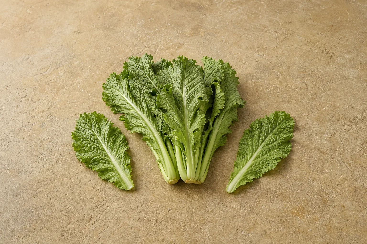 Raw mustard greens with broad crinkled leaves, serrated edges and pale-green central ribs.