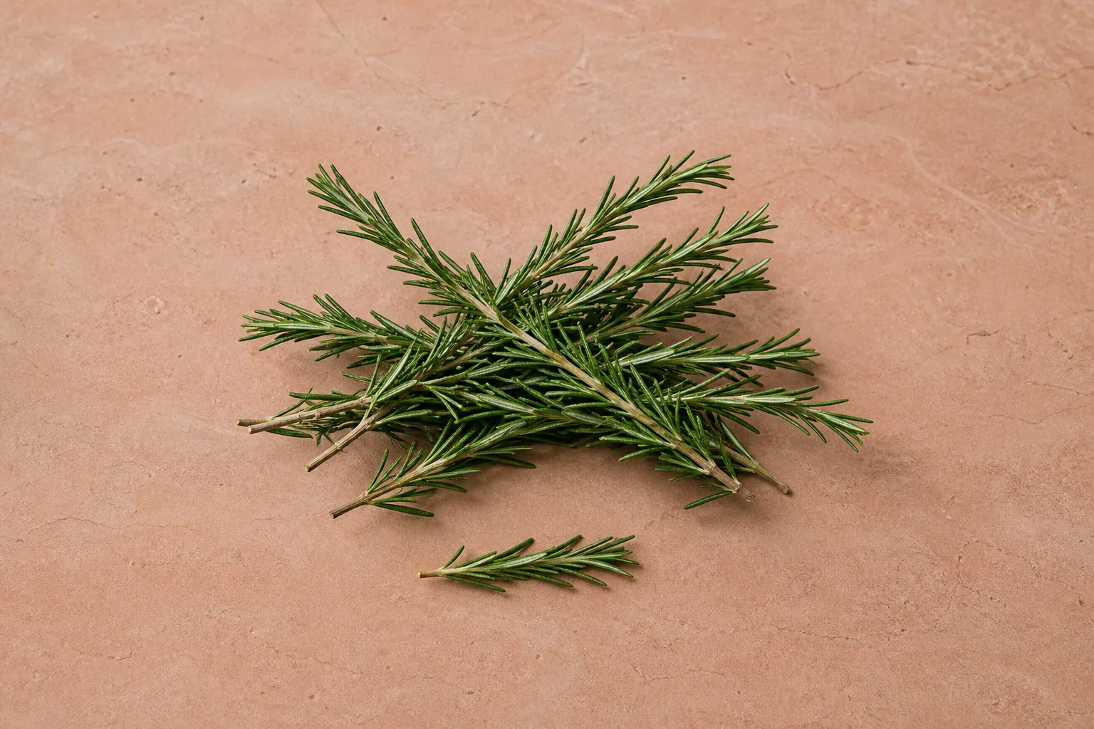 Fresh rosemary sprigs with woody stems and narrow dark green needle-like leaves.